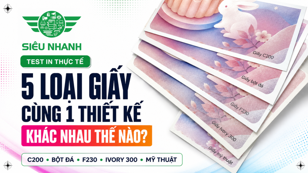 So sánh C200, bột đá, F230, Ivory 300 và giấy mỹ thuật