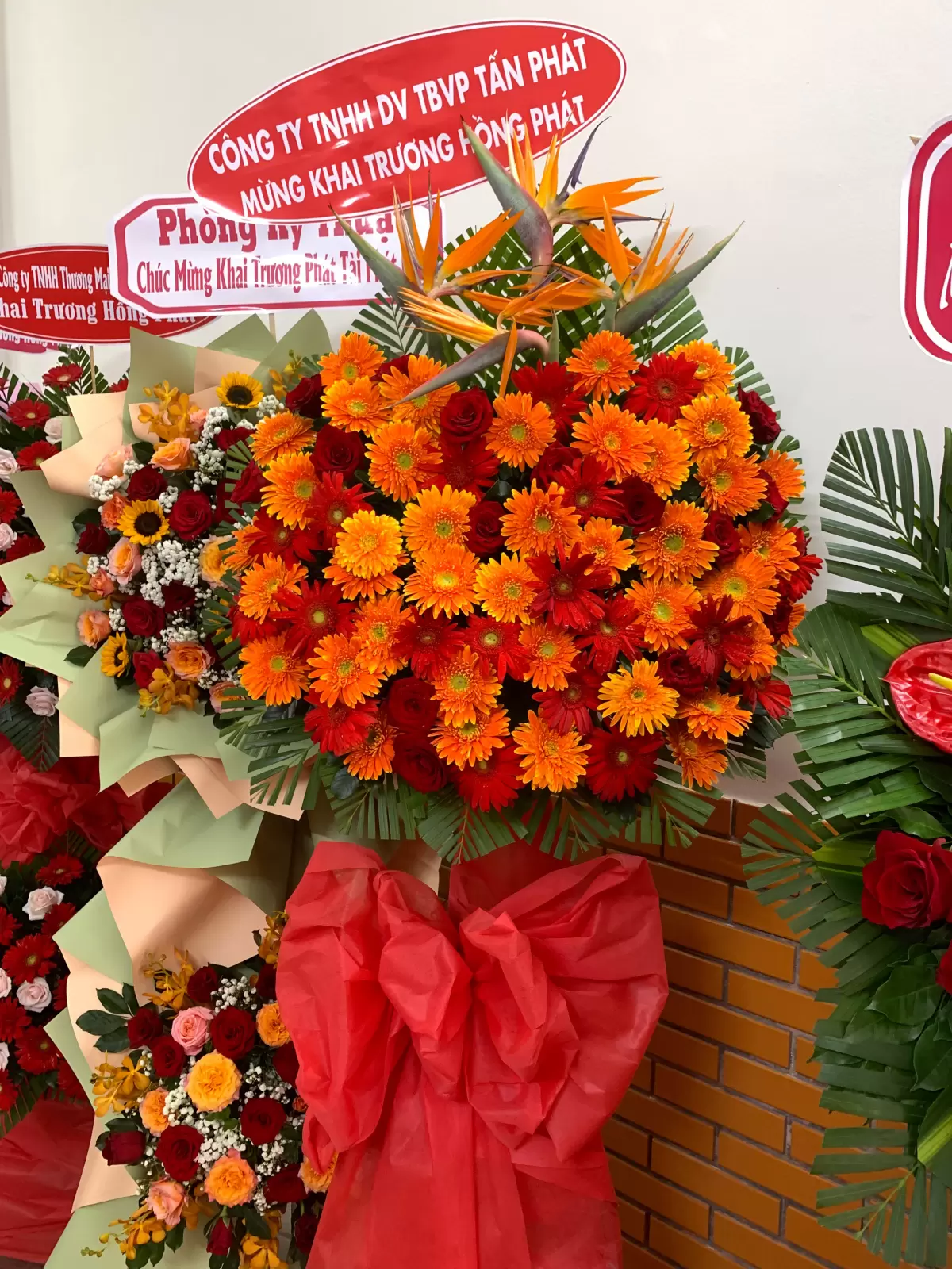 Khai Trương Trụ Sở Mới Công Ty Siêu Nhanh – Bước Tiến Mới Trong Hành Trình Phát Triển