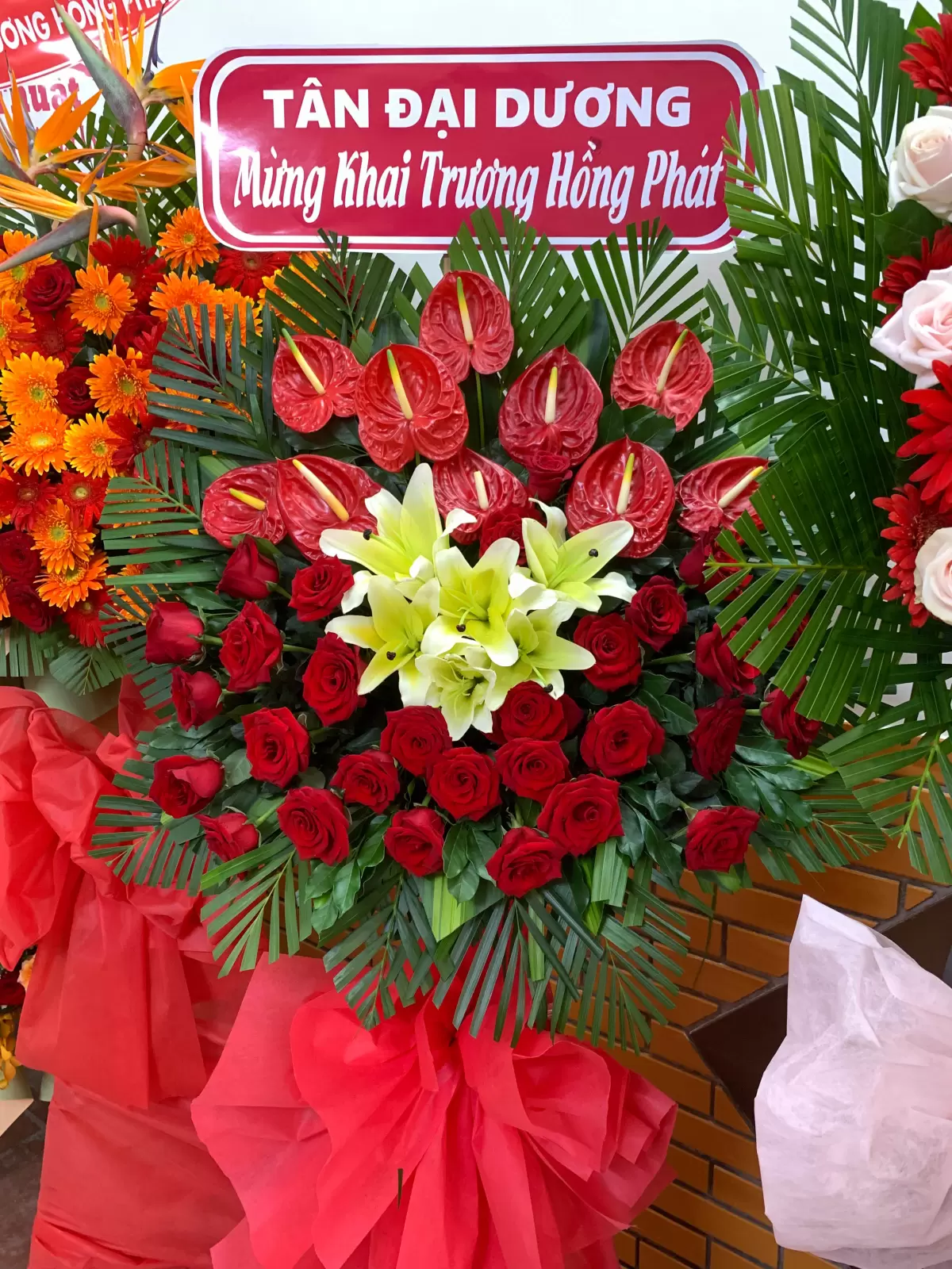 Khai Trương Trụ Sở Mới Công Ty Siêu Nhanh – Bước Tiến Mới Trong Hành Trình Phát Triển