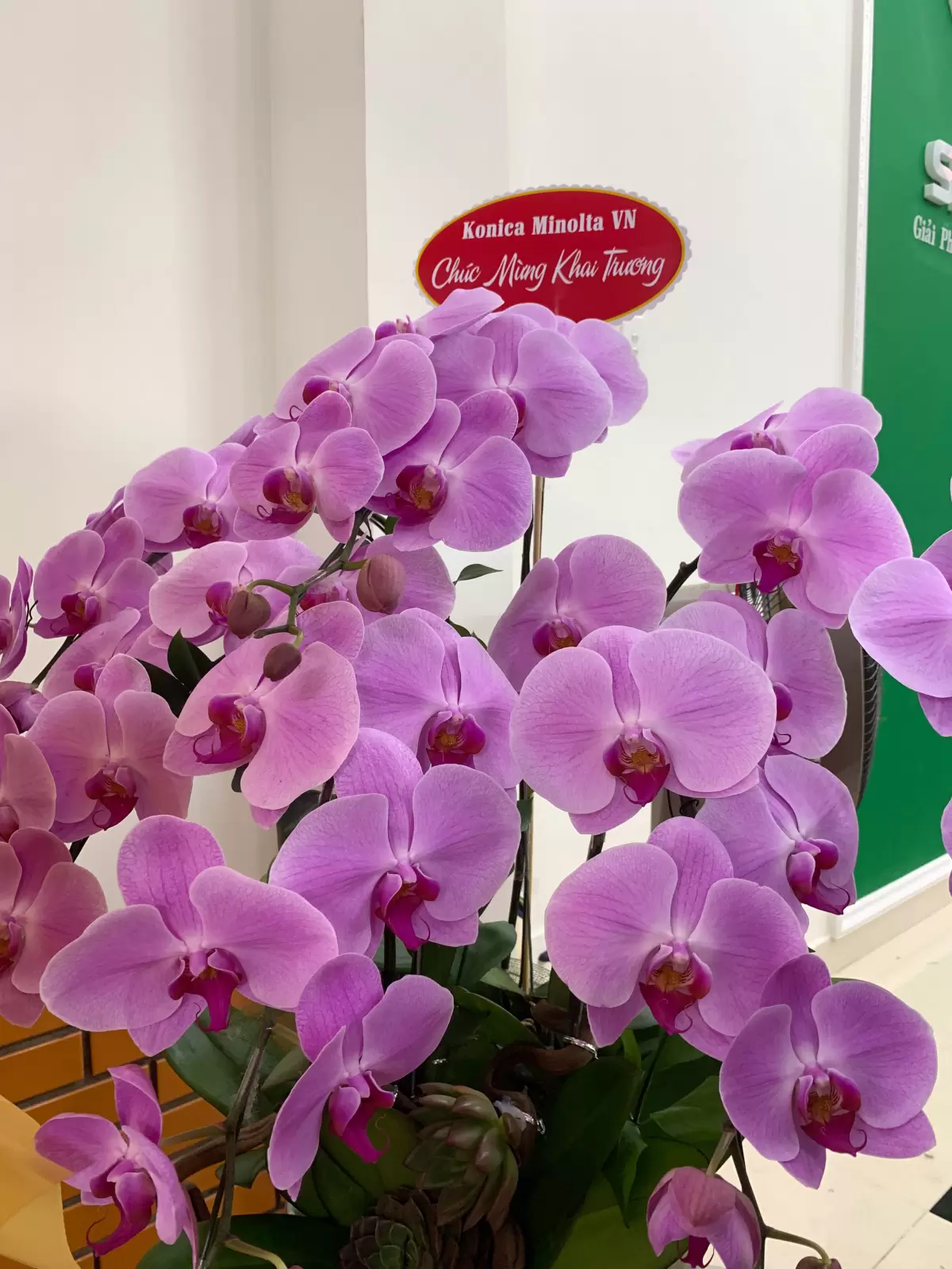 Khai Trương Trụ Sở Mới Công Ty Siêu Nhanh – Bước Tiến Mới Trong Hành Trình Phát Triển
