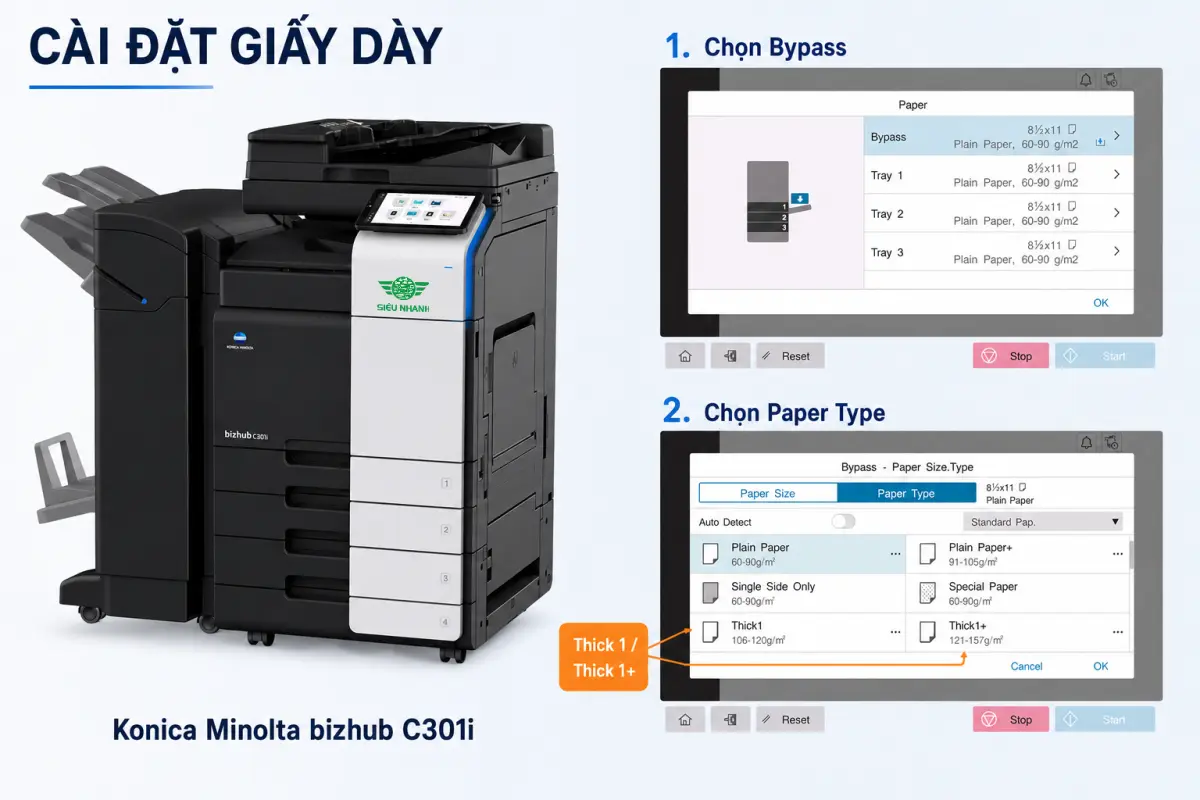 So sánh C200, bột đá, F230, Ivory 300 và giấy mỹ thuật